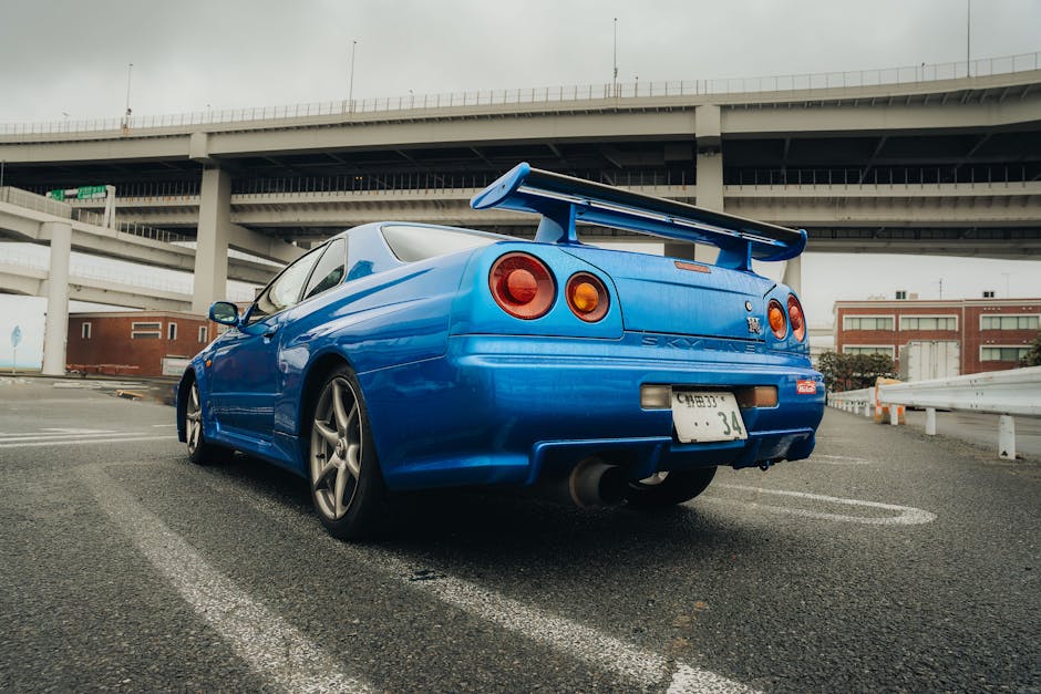 Guide Article — Photo by Shafky Zubair on Pexels