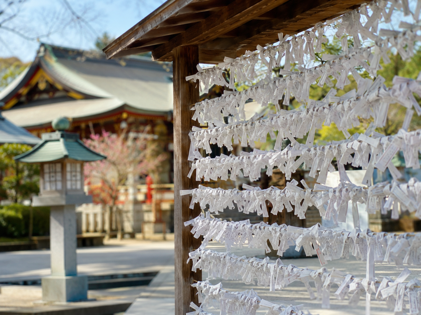 Paper fortunes (omikuji) at a serene temple