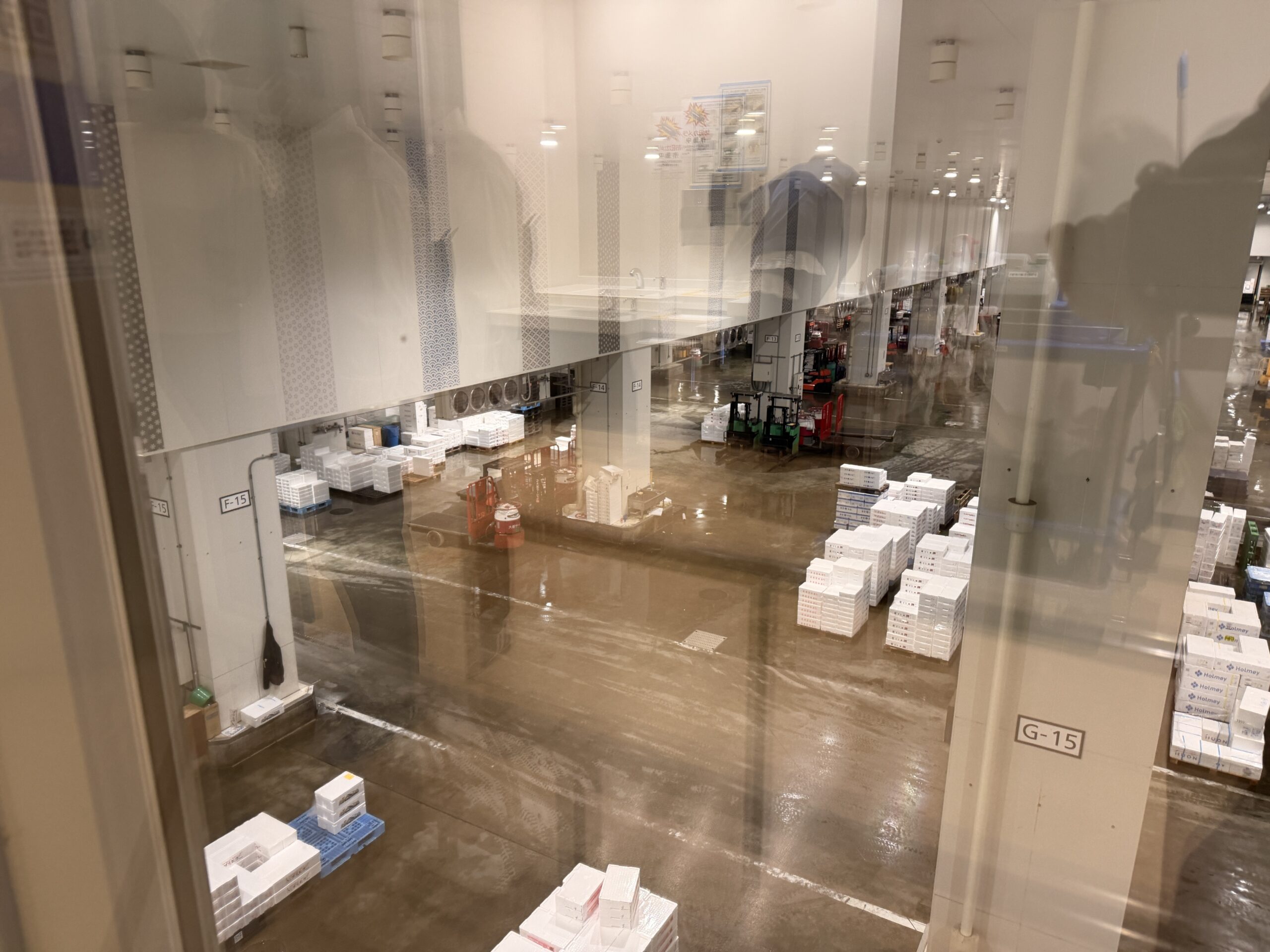 Toyosu Market inner trading floor seen through glass viewing gallery