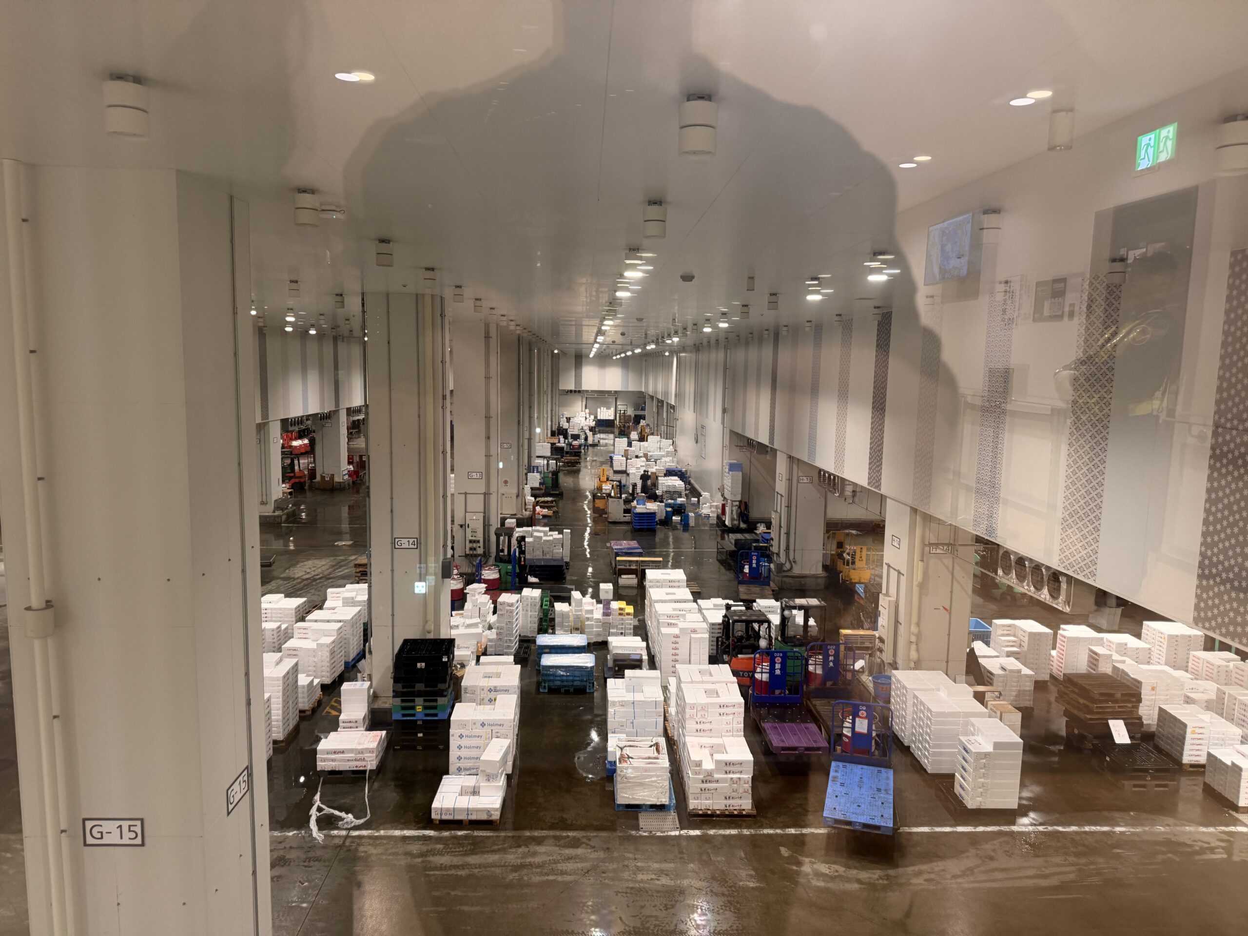 Toyosu Market fish trading floor from above