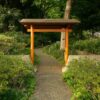 Serene view of a traditional Japanese Torii gate amidst lush greenery in a Tokyo garden.