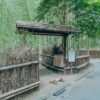 Explore the tranquil bamboo grove entry in Kyoto, Japan, perfect for a nature retreat.