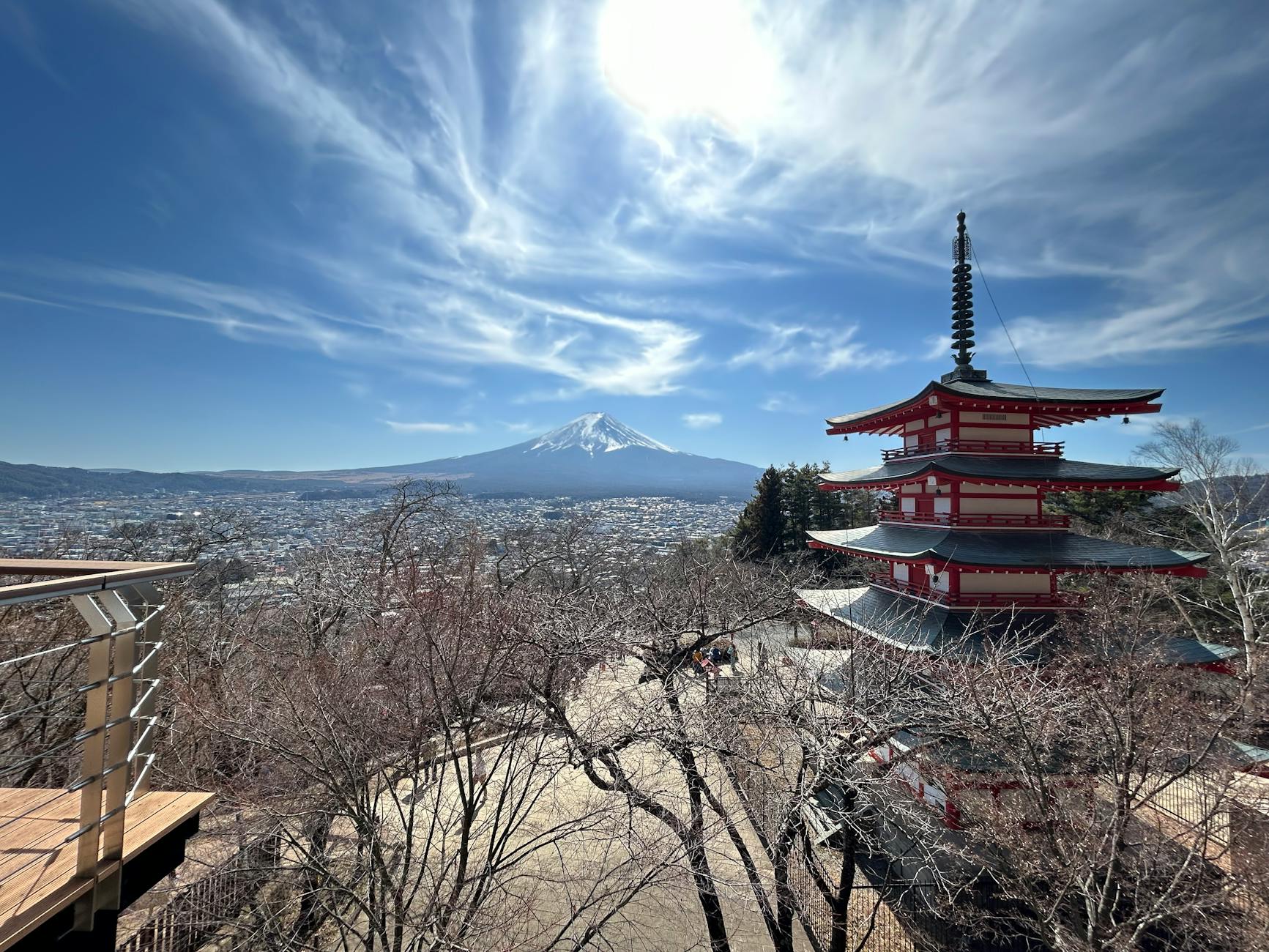 cherry blossom japan guide img3 — Tracy Ng / Pexels