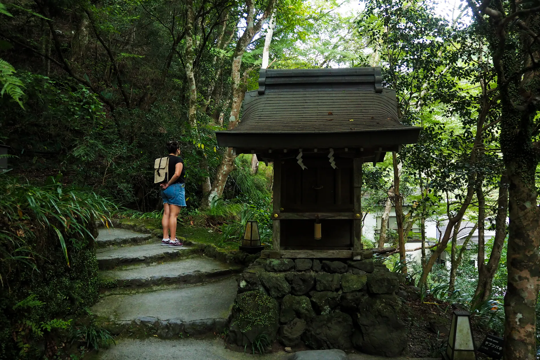 A traveler explores a serene temple pathway in the lush forests of Kyoto, Japan.