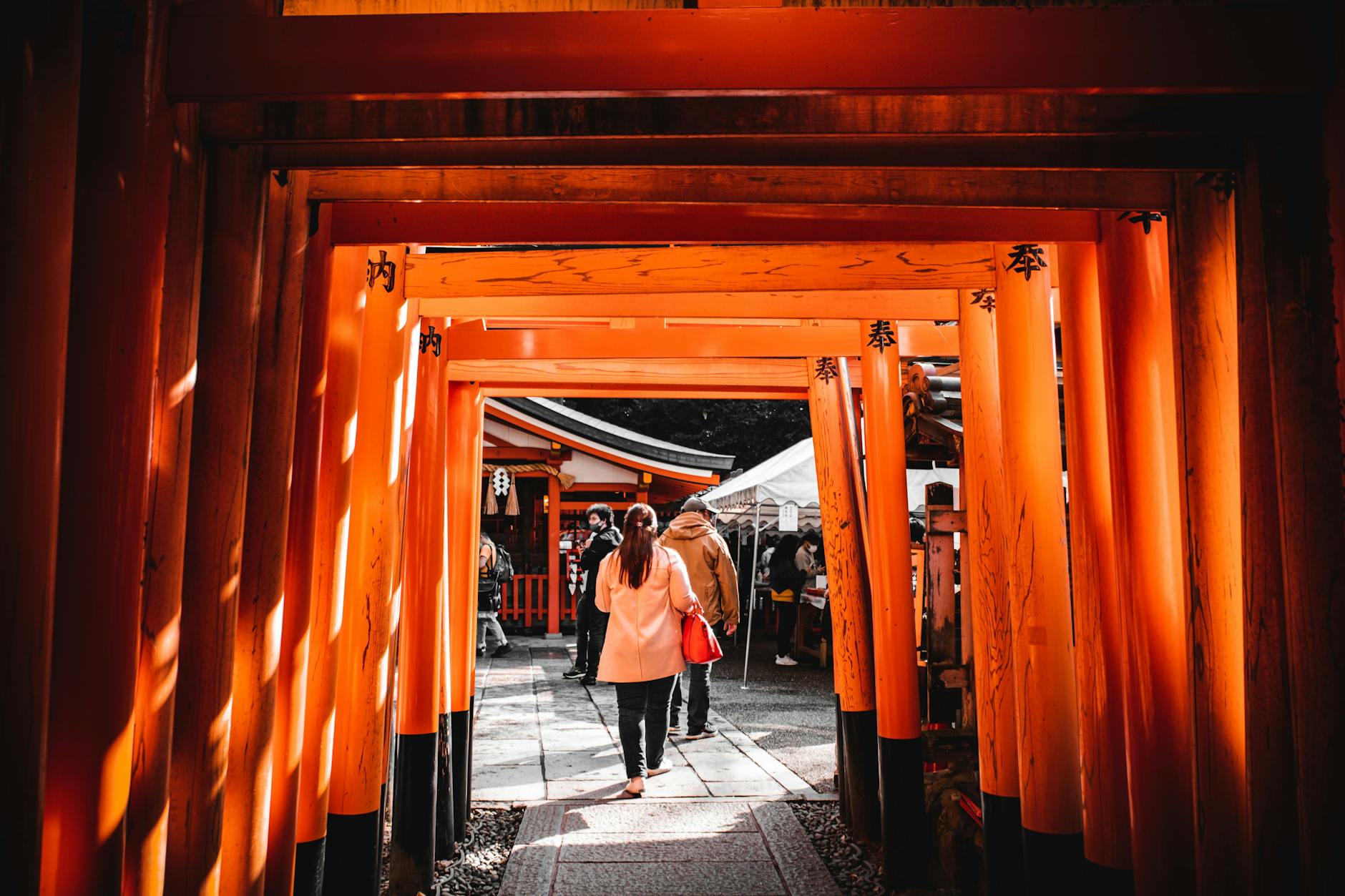 Visitors explore vibrant red torii gates at a traditional Shinto shrine in Japan.
