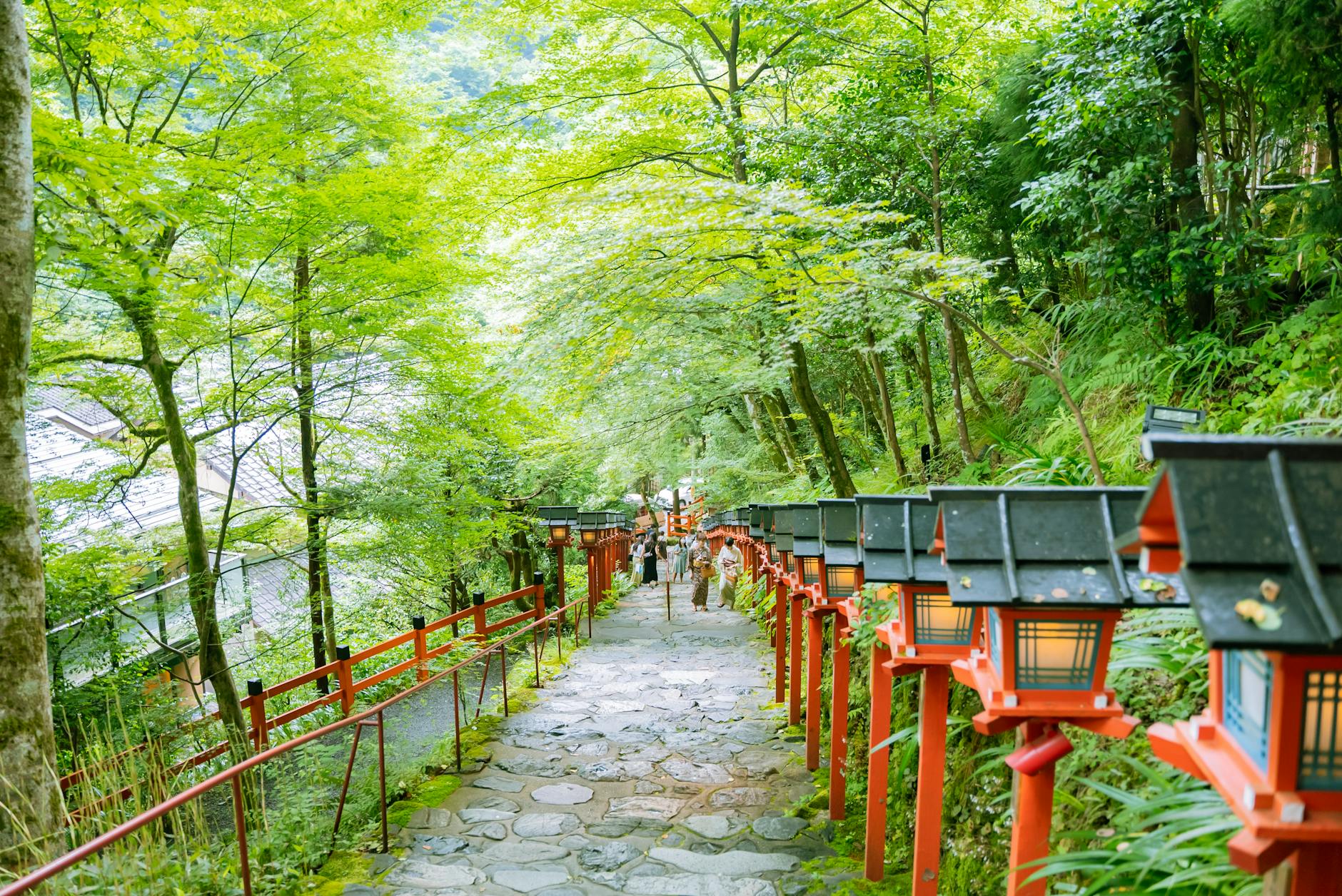 hiking in japan guide hiking2 — Satoshi Hirayama / Pexels