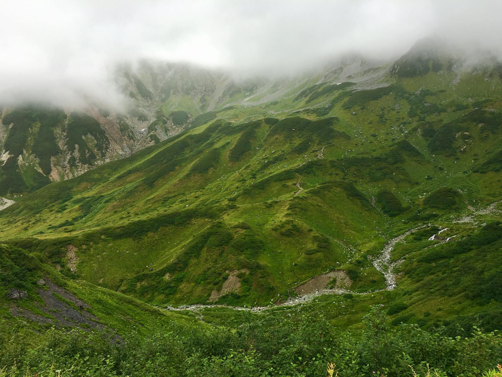 hiking in japan guide thumb — Miwa / Pexels