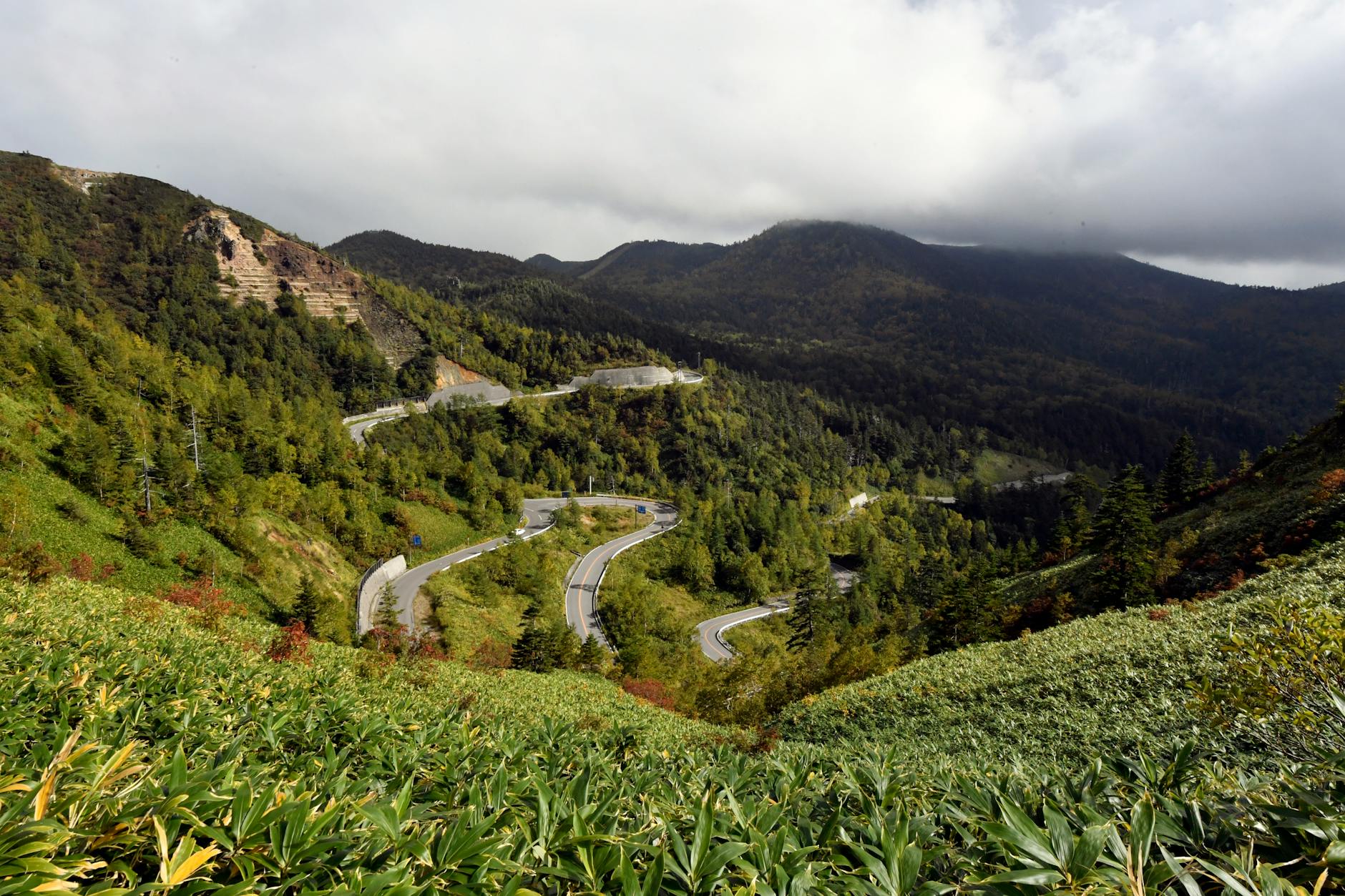 Mountain road in Japan - Initial D real locations. Photo by Chen Te on Pexels.