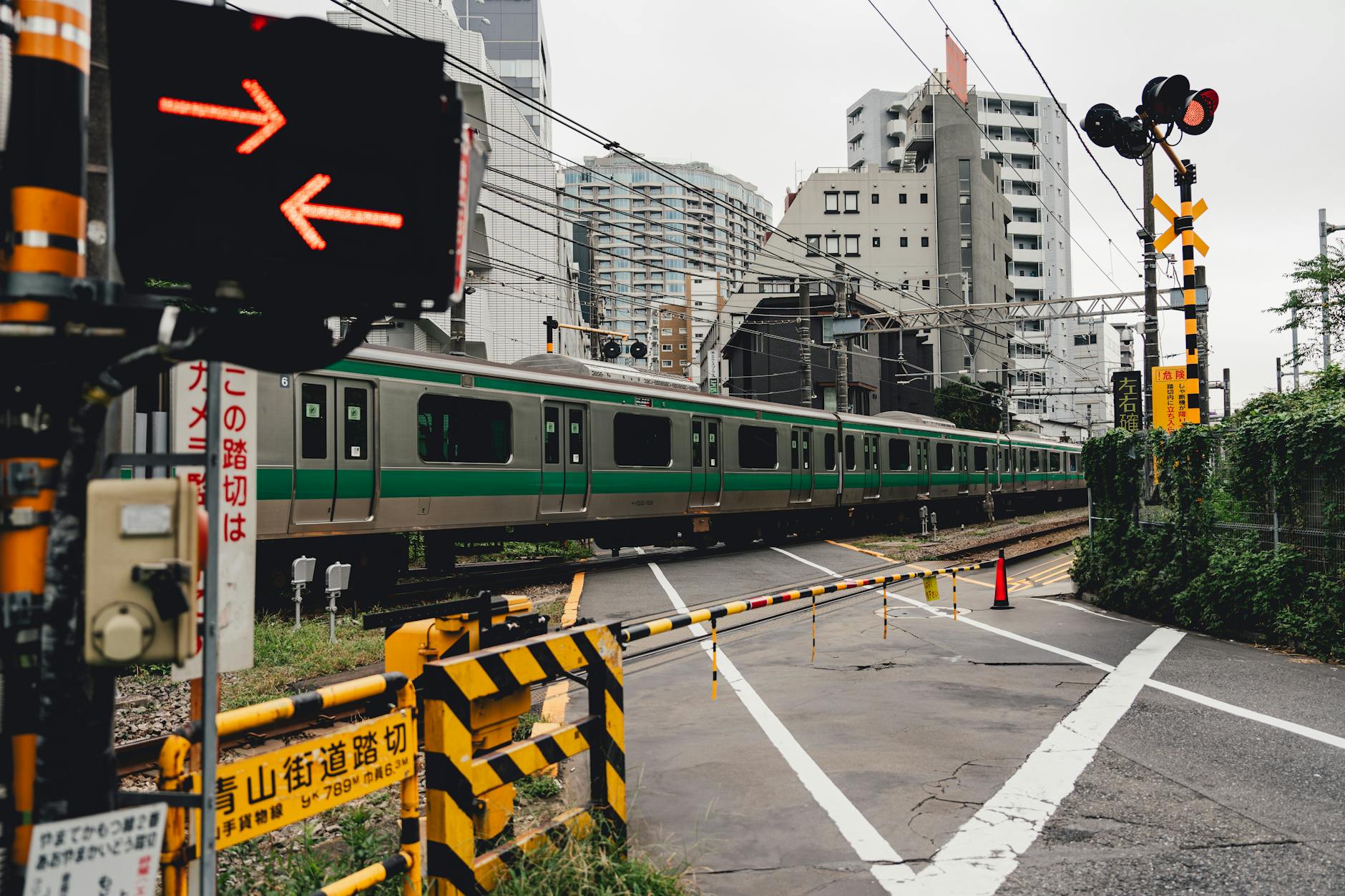 Tokyo Car Tour at Night: Shibuya, Rainbow Bridge & Tokyo Tower by JDM