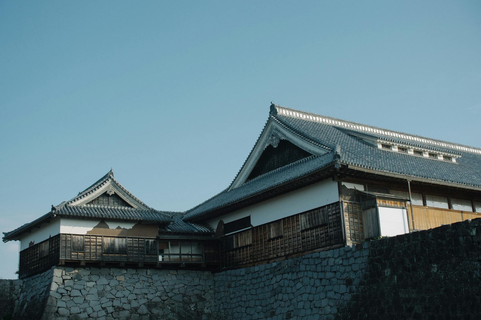 National Museum of Nature and Science Tokyo: Complete Visitor Guide — museumnature japan travel