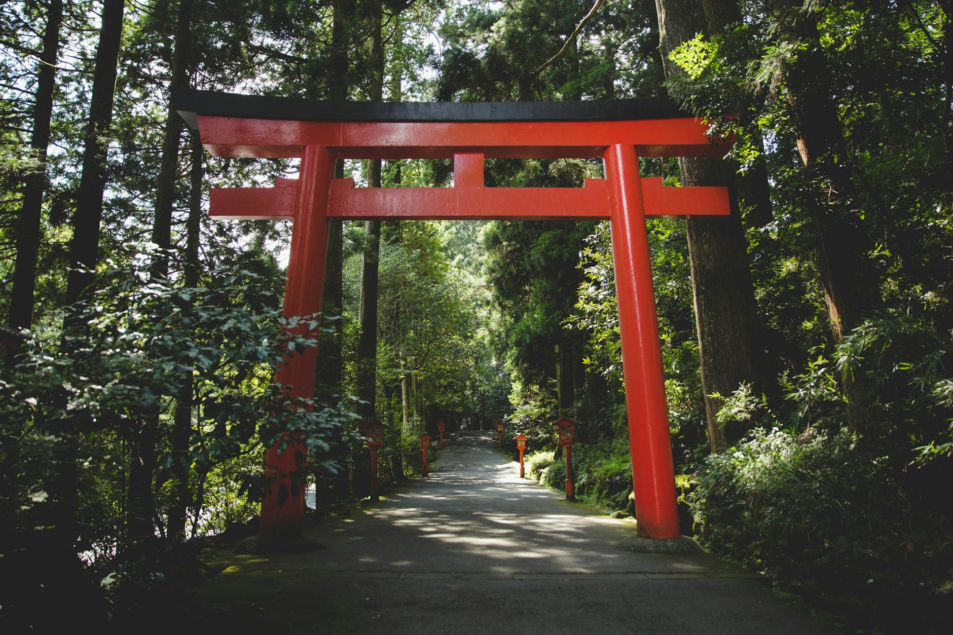 Hakone Free Pass: Is It Worth It? Complete 2026 Guide