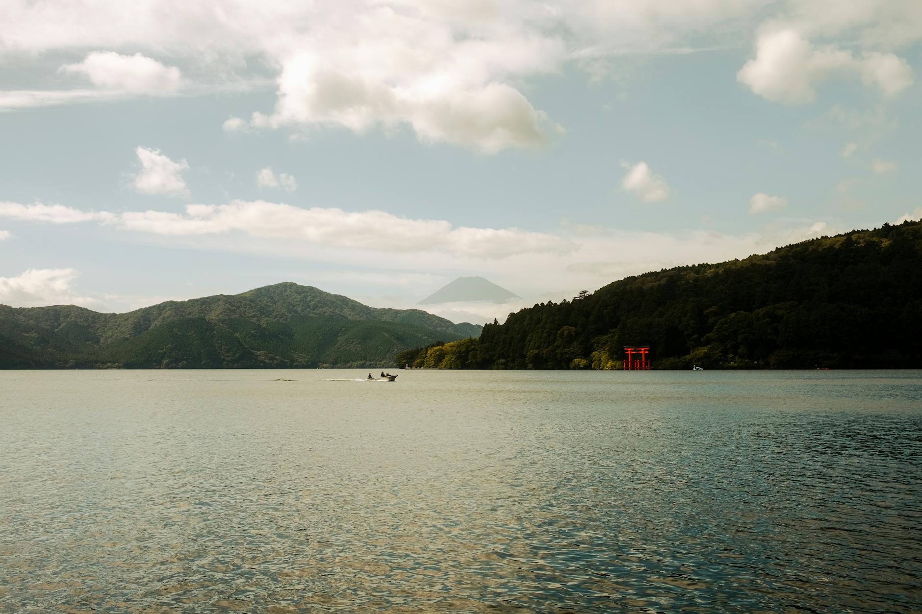 Hakone Gora Park: Flowers, Views & Hot Spring Experience — hakone gora park japan