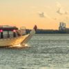 Midnight Cruise Tokyo: Experience Japan's Car Culture After Dark — Midnight Cruise Tokyo tour japan