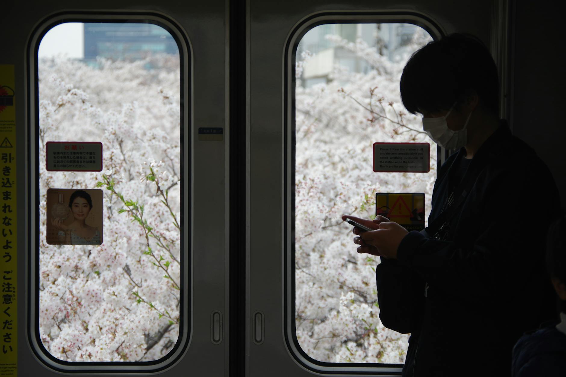 person using smartphone japan tokyo — Yuri Yuhara / Pexels
