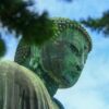 Close-up view of a serene Buddha statue framed by greenery, under a clear blue sky.