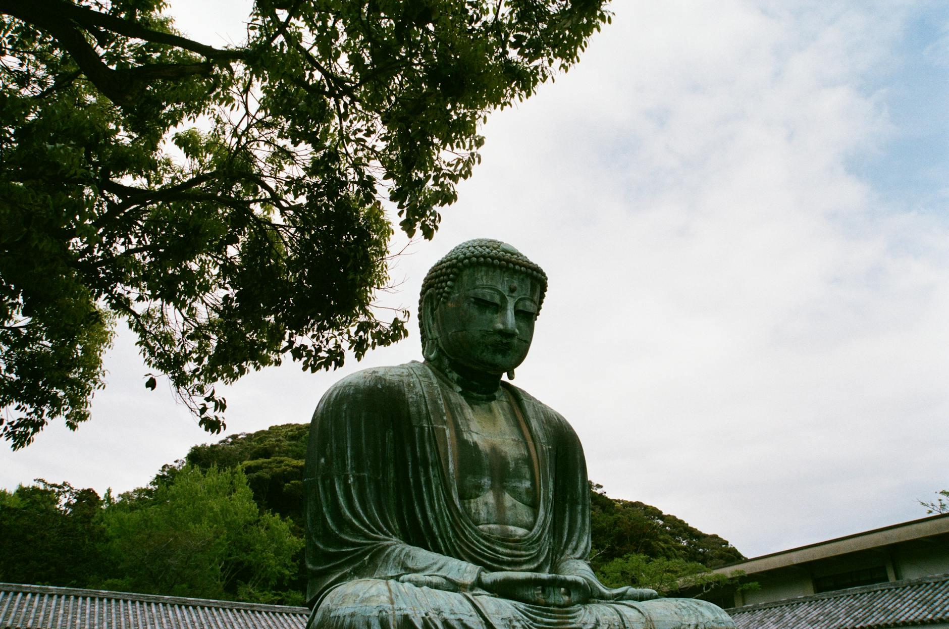Capture of the Great Buddha in Kamakura, Japan, showcasing its peaceful setting under a clear sky.