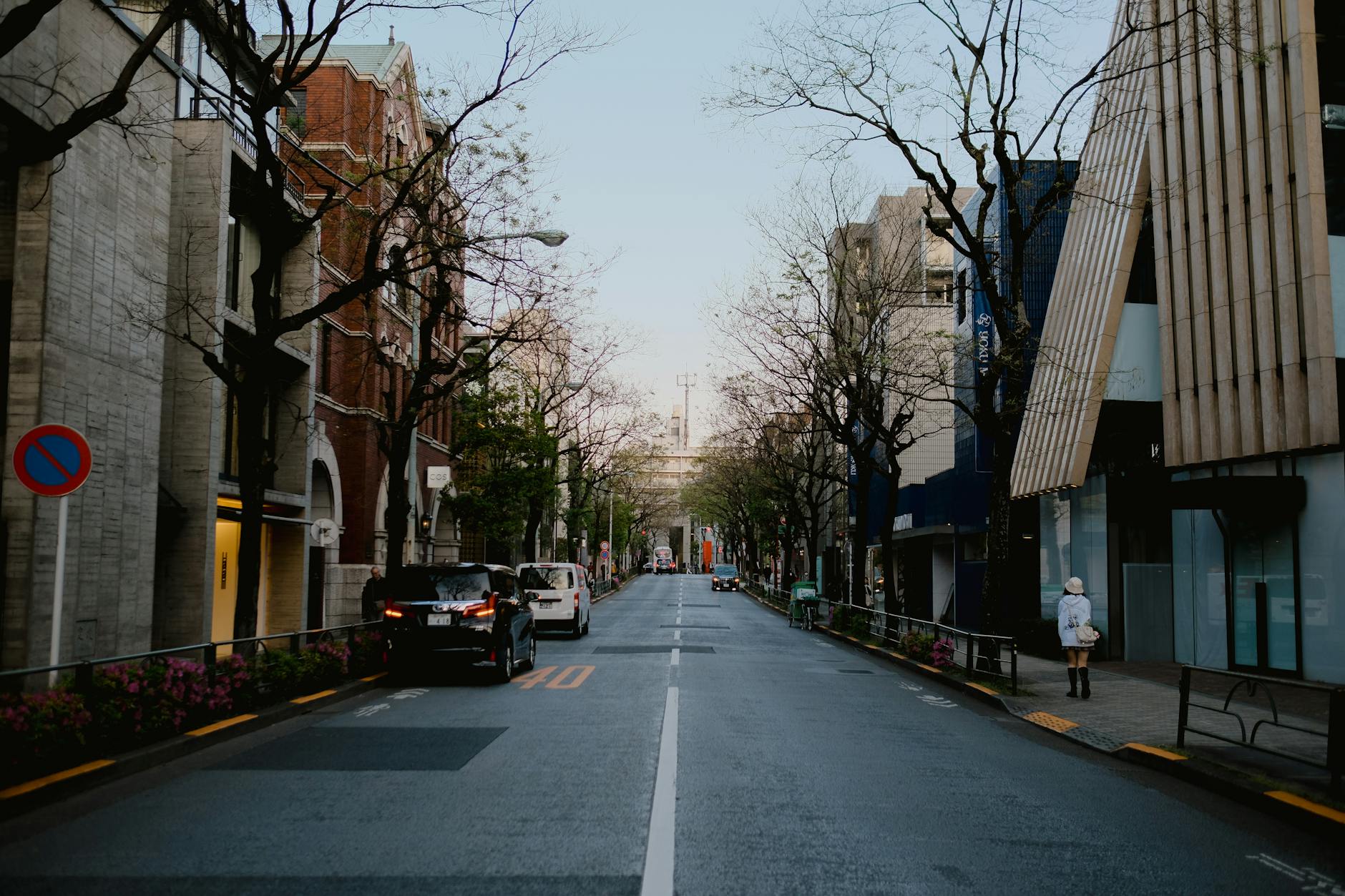 Tokyo Omotesando boulevard