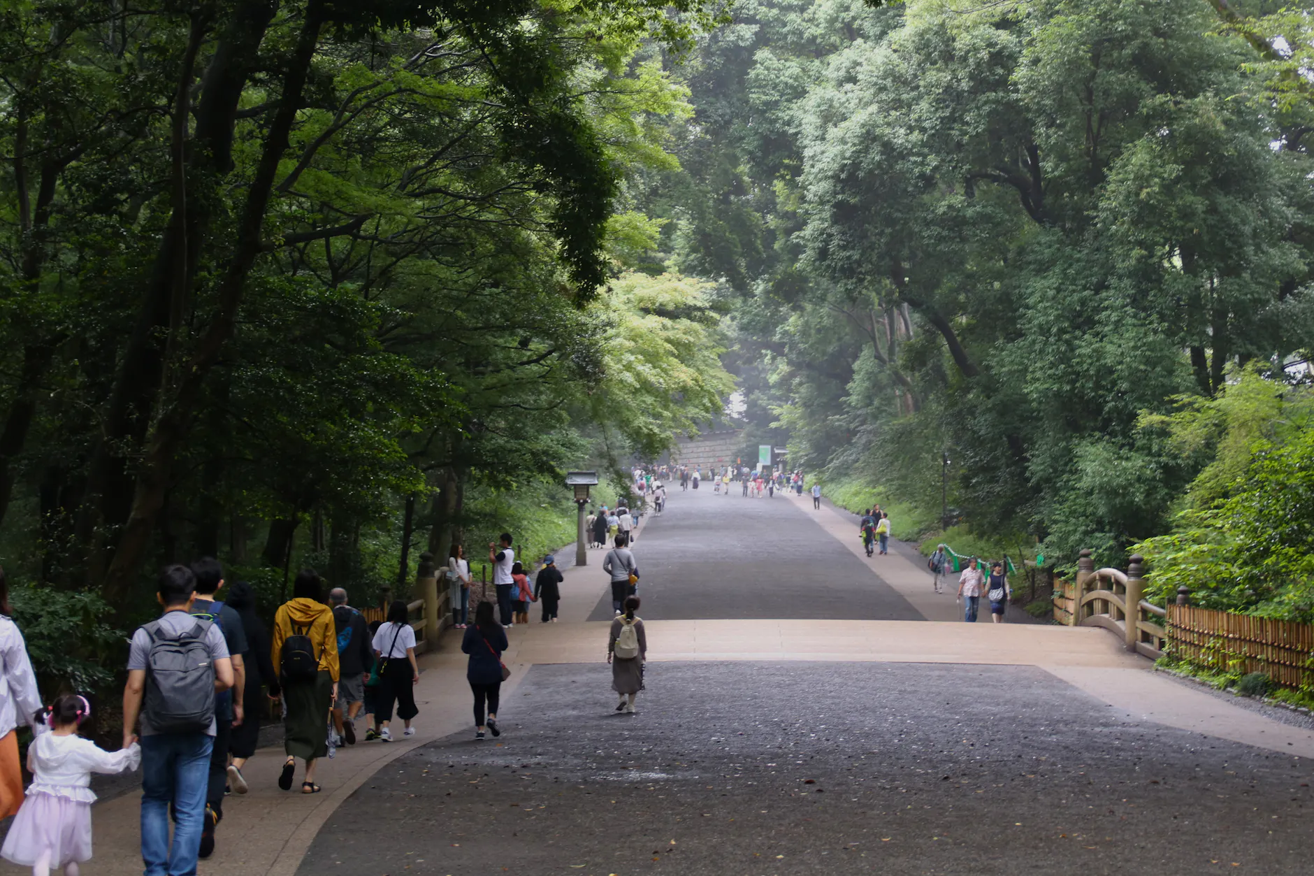 A serene pathway surrounded by lush trees near Meiji Shrine in Tokyo.