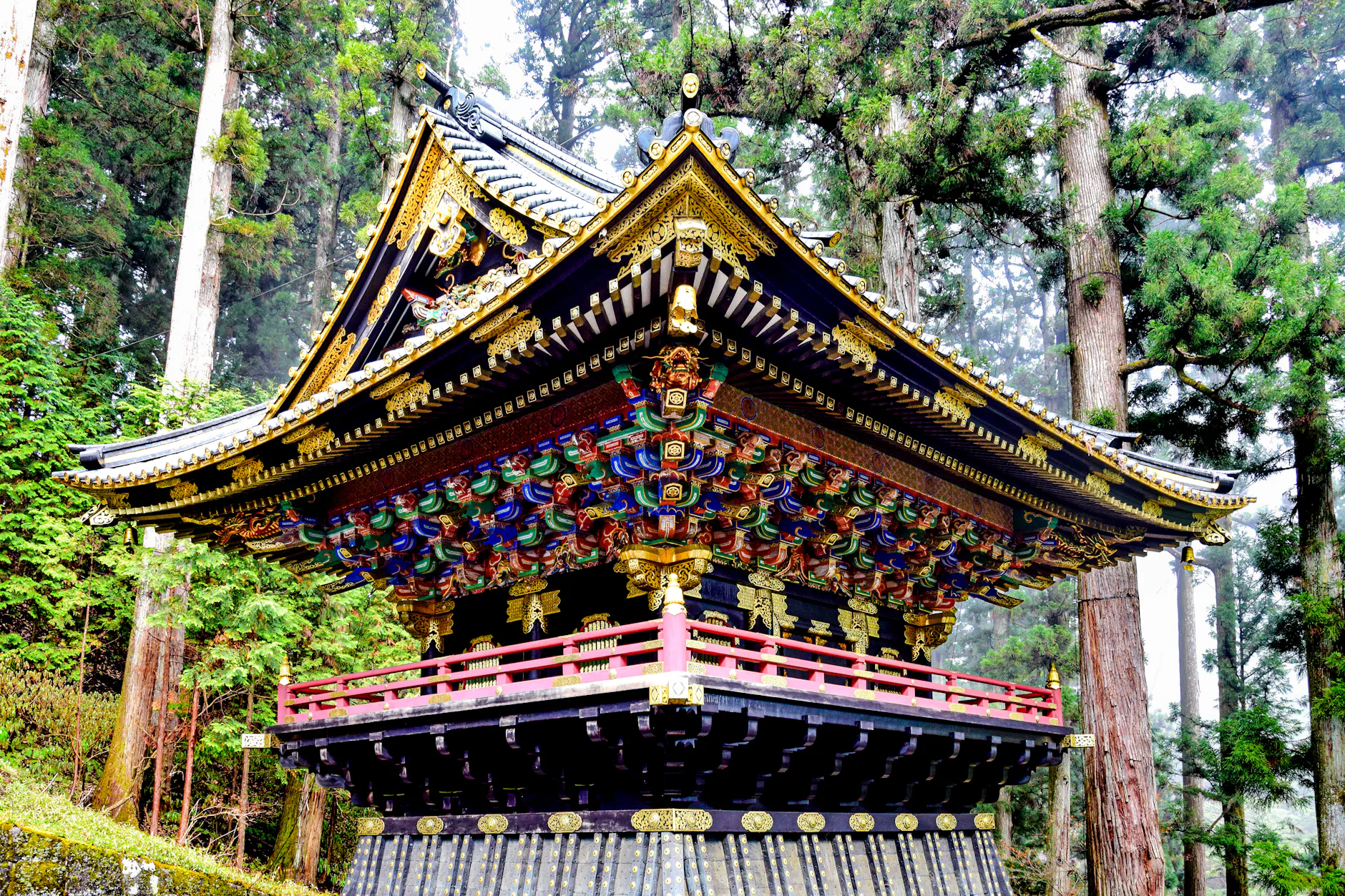 A beautifully ornate Japanese temple amongst towering trees in Nikko, Japan.
