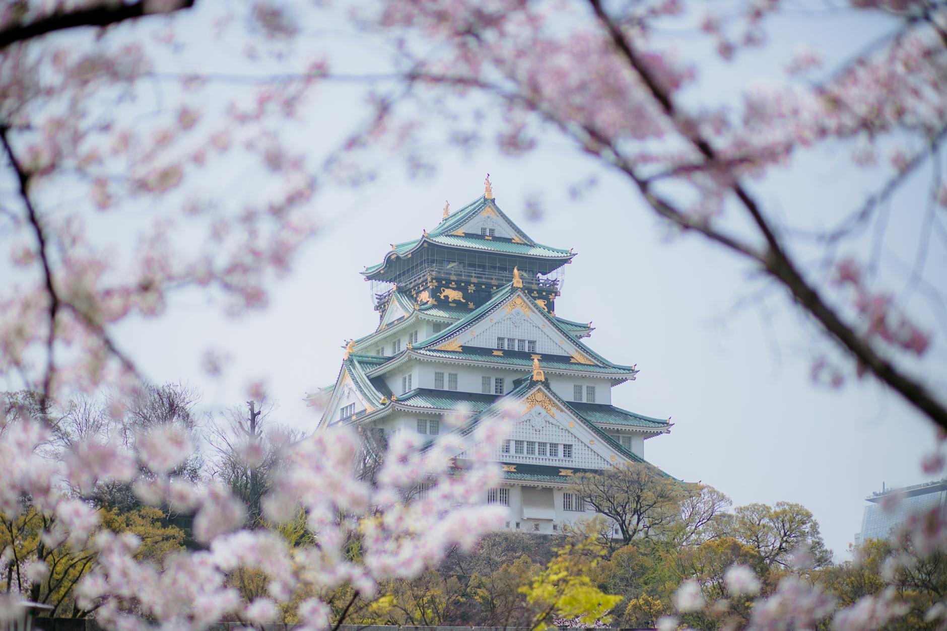 osaka castle guide osaka_castle2 — Nguyễn Thanh Tùng / Pexels