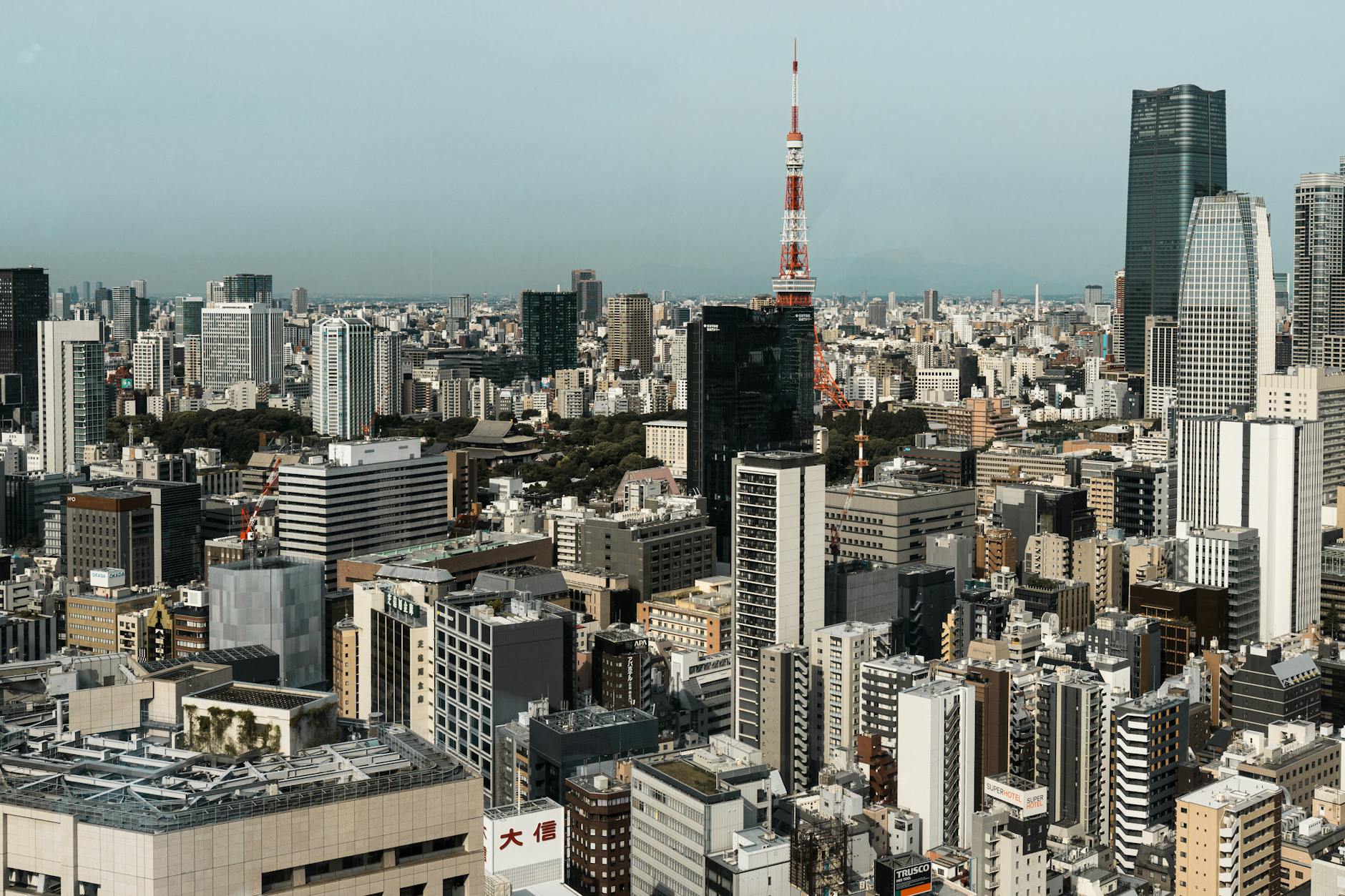 osaka vs tokyo guide img3 — Robert Schwarz / Pexels