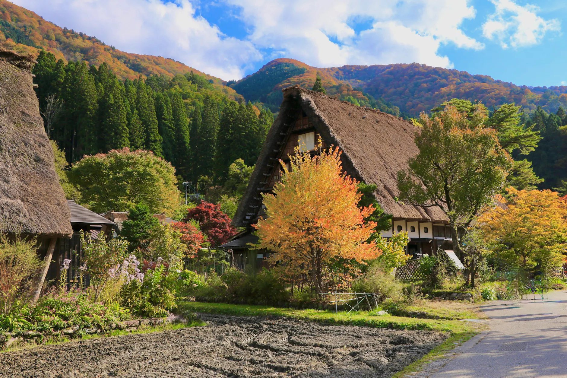Scenic view of traditional gassho-style houses in Shirakawa-go, a UNESCO World Heritage site.