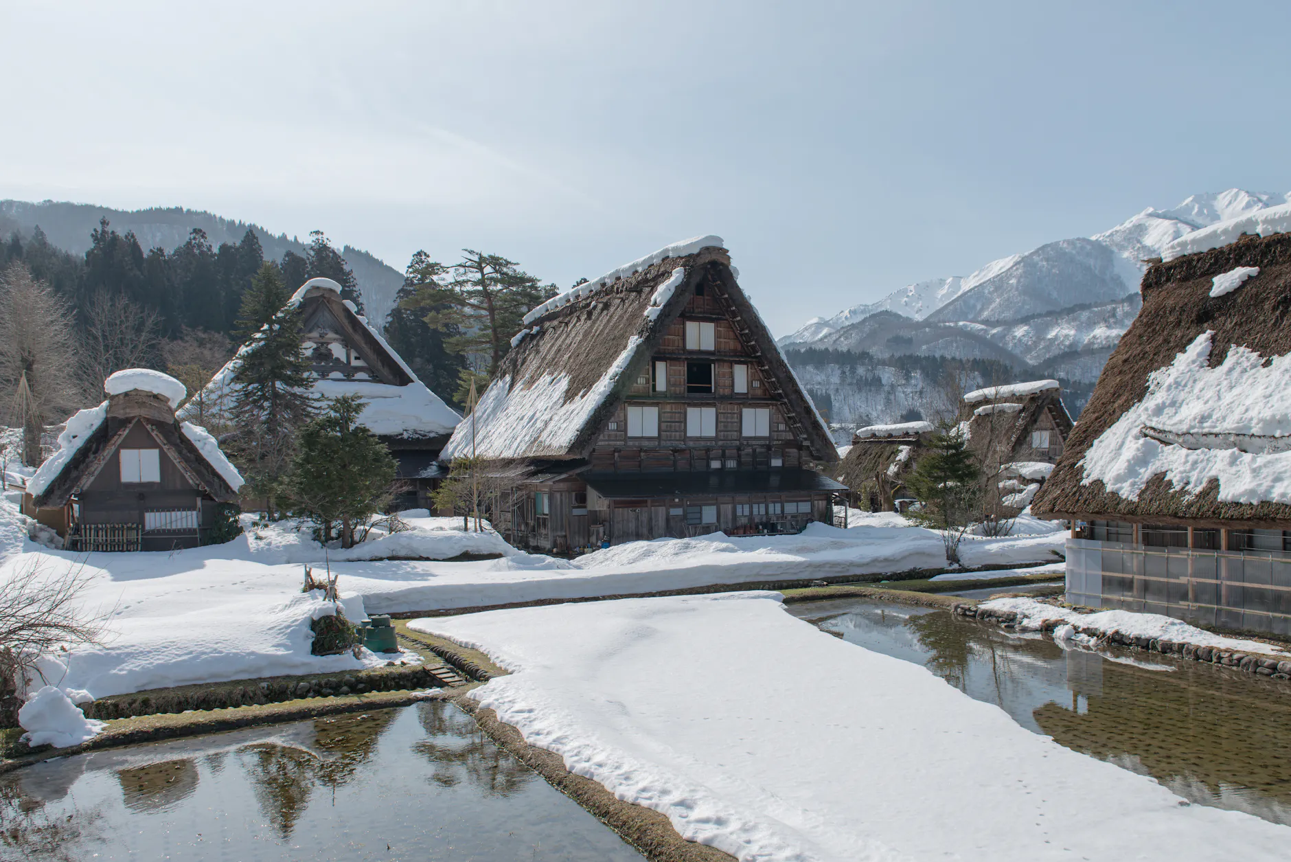 Snow-covered traditional Gassho-Zukuri houses in Shirakawa-go, Japan during winter.