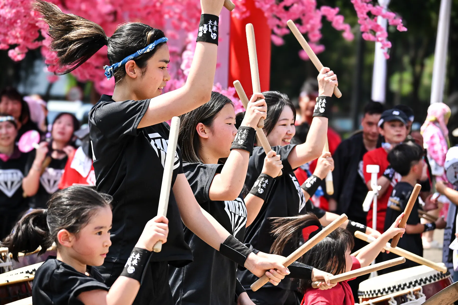 Energetic drummers performing at an outdoor Japanese cultural festival under cherry blossoms.