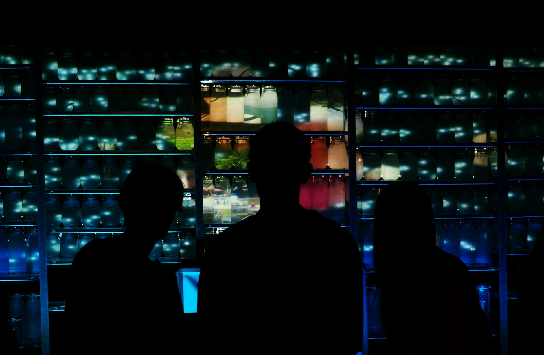 teamlab tokyo guide teamlab3 — ClickerHappy / Pexels