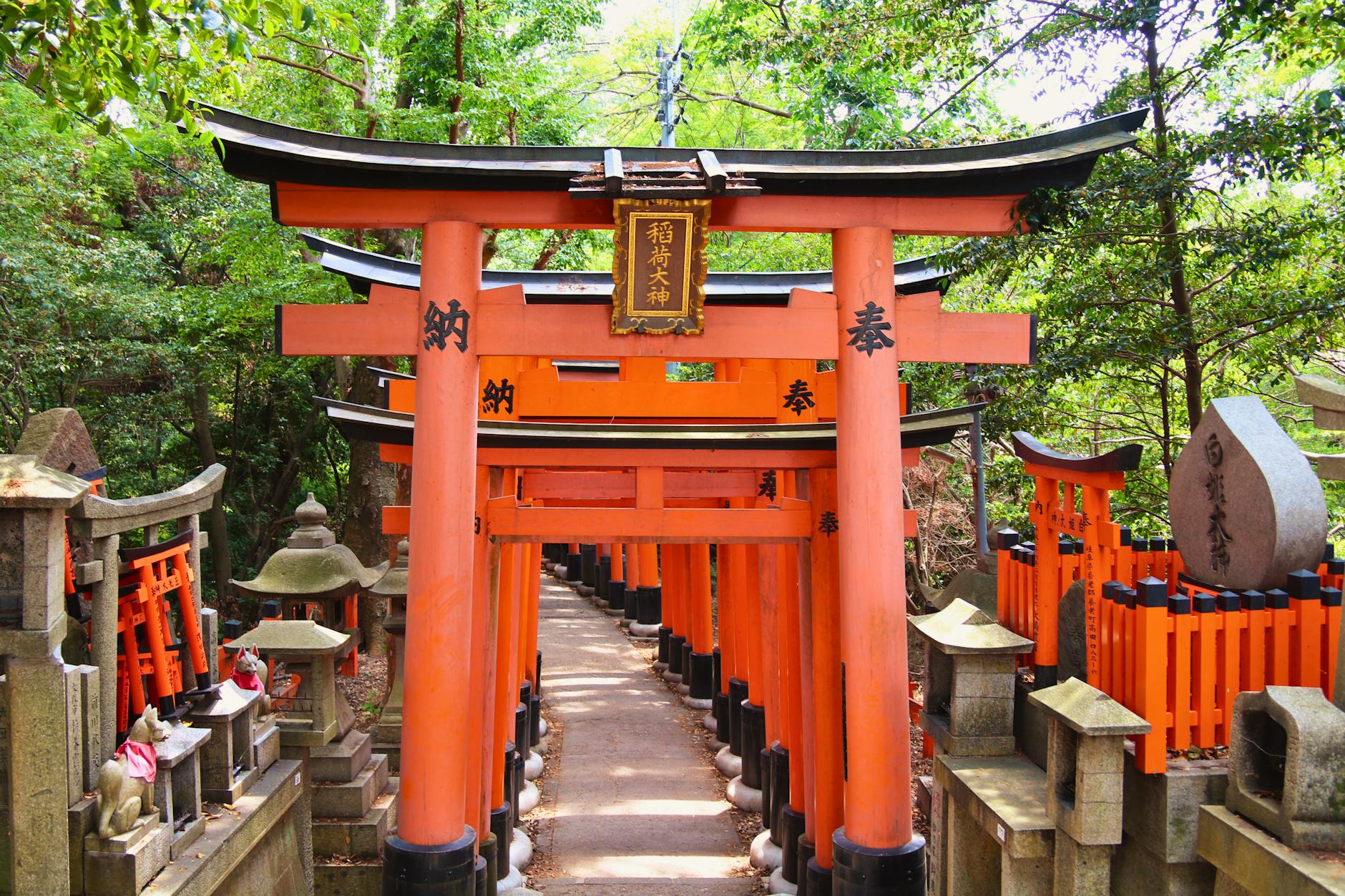 fushimi inari torii gates red kyoto — Bruna Santos / Pexels