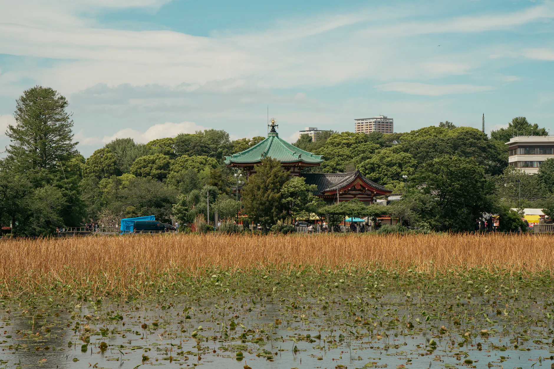 A serene view of Bentendo Temple in Tokyo, with lush greenery and a tranquil pond in the foreground.