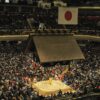 Large crowd watches a traditional sumo wrestling match inside a Japanese arena.