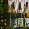 Traditional Japanese sake bottles in natural light